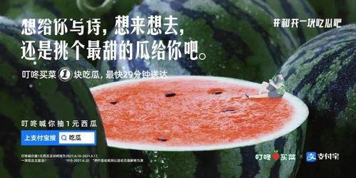 前线吃瓜文案,揭秘战地风云中的幕后故事