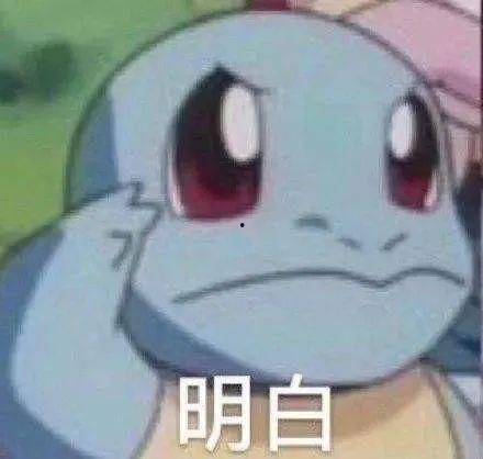 吃瓜头像堆糖,吃瓜头像堆糖，解锁夏日趣味瞬间