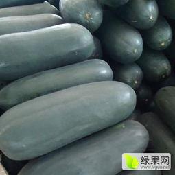 老姚吃瓜,揭秘娱乐圈那些不为人知的幕后故事