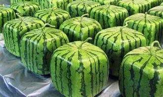 吃瓜闲聊答疑解惑,答疑解惑，揭秘娱乐圈那些事儿