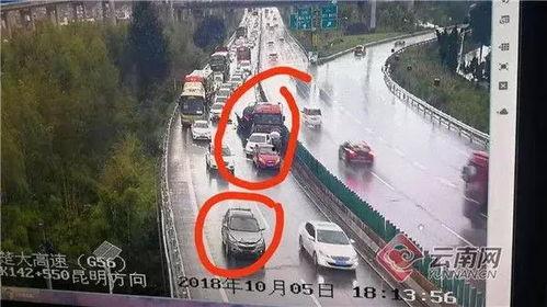 肇事司机假装吃瓜群众,真相背后引人深思