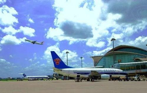 818机场送机吃瓜,明星粉丝同框吃瓜，精彩瞬间大揭秘