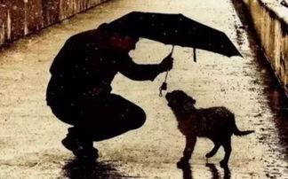 收起你吃瓜,一场关于娱乐与八卦的狂欢