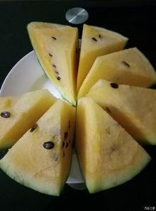 吃瓜闲聊论坛,揭秘网络论坛的欢乐时光