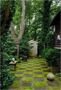 院子吃瓜乘凉,吃瓜乘凉，共享清凉时光