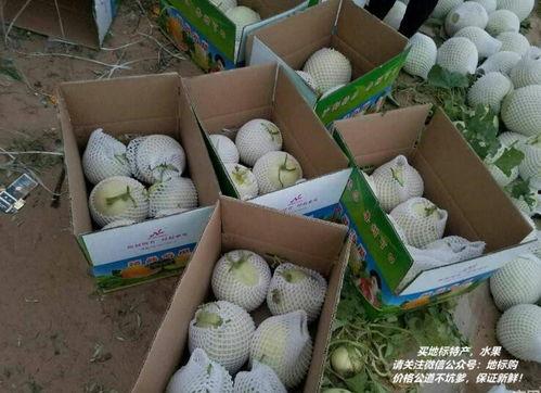 新疆蜜瓜煮着吃怎么吃,甜蜜滋味，健康养生