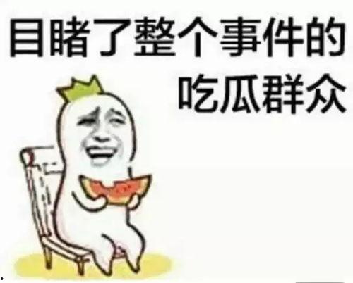 吃瓜群众杨总,吃瓜群众的独特视角与深度解读