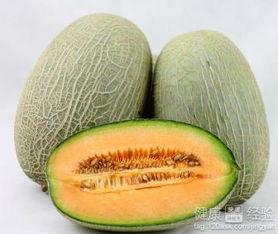 吃茭白可以吃哈密瓜吗,探索两者共食的可能性