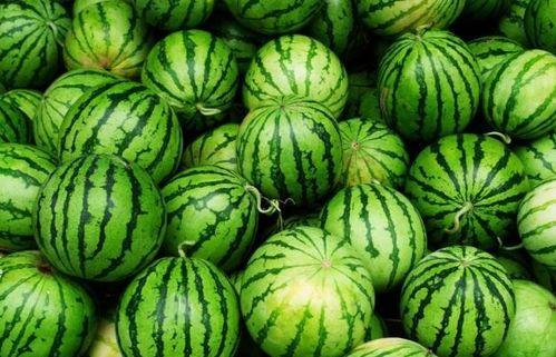 吃瓜要吃种子吗,吃瓜真的要吃种子吗？