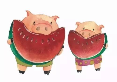给猪喂吃瓜,瓜果飘香，猪儿欢畅