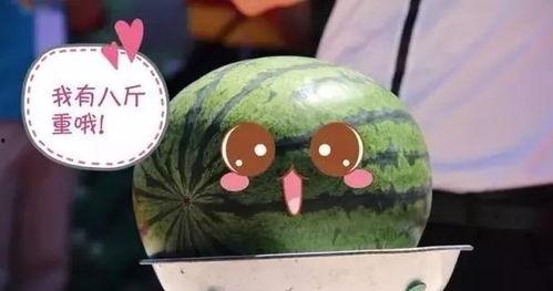 吃瓜票是什么,网络热议现象背后的文化解读