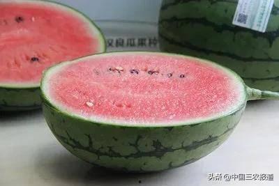 吃瓜算黑吗,揭秘网络舆论场中的黑白界限