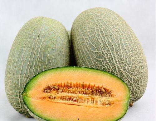 吃哈密瓜的好吃,探寻新疆瓜果的甜蜜传奇