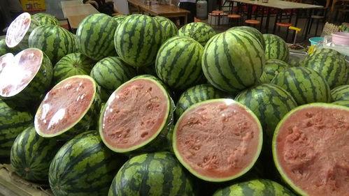 自由吃瓜网友,揭秘娱乐圈幕后真相