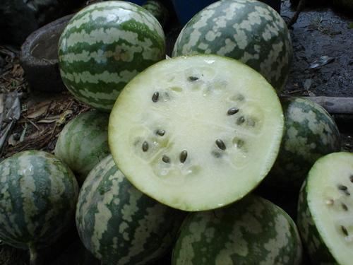 来事可以吃绿宝瓜,来事时的天然养生佳品