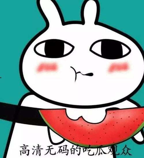 吃瓜 的路人,揭秘街头巷尾的趣味故事