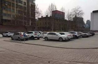 泰华停车场吃瓜,吃瓜群众的欢乐盛宴