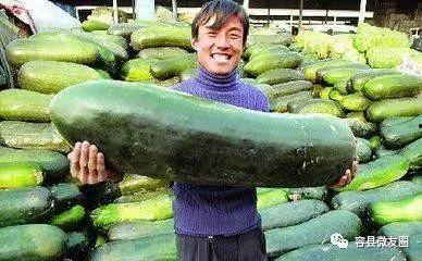 今年的吃瓜人,吃瓜人生，笑谈娱乐圈风云变幻