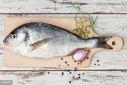 八瓜鱼吃鸡,八瓜鱼与鸡的奇幻食旅