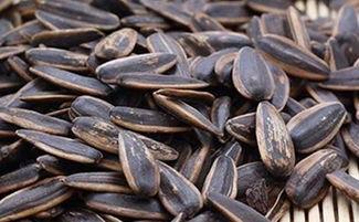 什么瓜只吃瓜子,揭秘“只吃瓜子”的神奇瓜种之谜