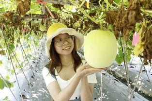 广东佛山小伙吃瓜,瓜果飘香引众人围观