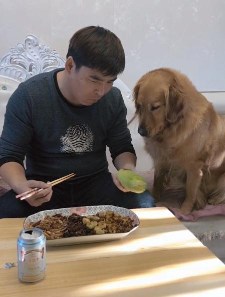 吃瓜狗狗和主人,趣味横生的日常互动