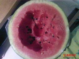 无齿之徒吃瓜,一场别开生面的吃瓜盛宴