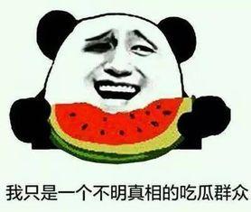 各类吃瓜事件,盘点娱乐圈、社会热点事件背后的真相与反思