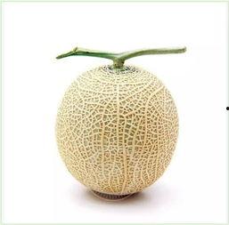 91cg吃瓜网,娱乐圈最新热点事件大追踪