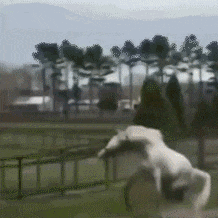 吃瓜动态警示图