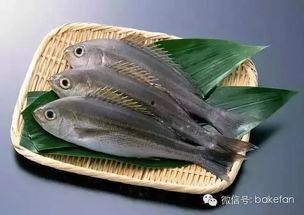 刘大瓜吃芥末鱼,舌尖上的刺激之旅